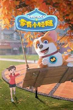 飞狗MOCO之家有小短腿