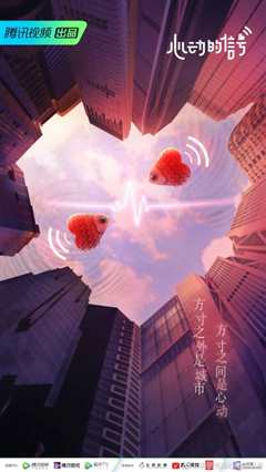 心动的信号 第四季