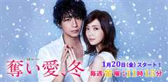 夺爱之冬