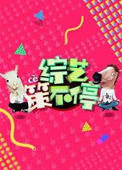 综艺策不停