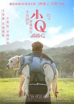 小Q