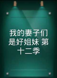 我的妻子的姐姐2