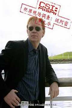 犯罪现场调查：迈阿密第九季