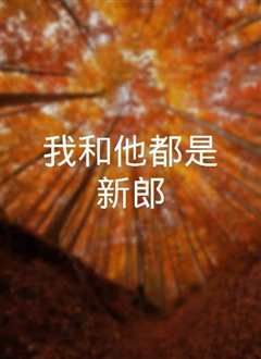 我和他都是新郎。