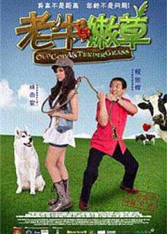 老牛与嫩草