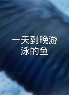 一天到晚游泳的鱼