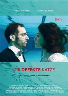 一只功能失调的猫