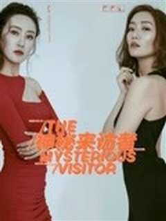 神秘来访者