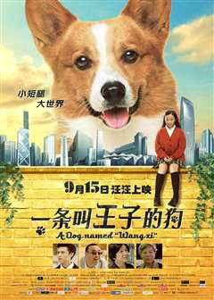 一条叫王子的狗