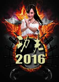 功夫2016