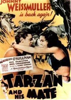 《泰山和他们的伙伴们》