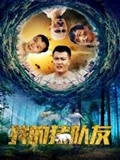 我的猪队友