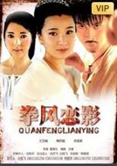 拳风恋影