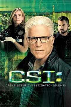 犯罪现场调查第十五季