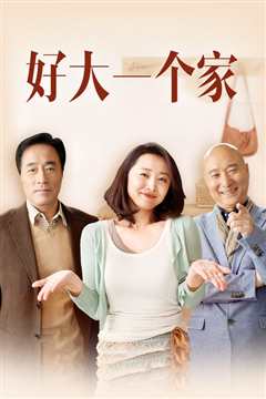 好大一个家