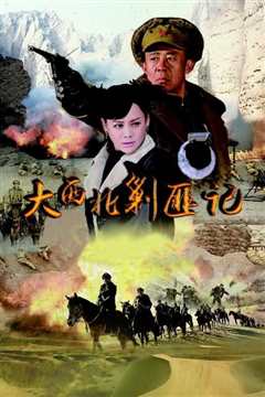 大西北剿匪记