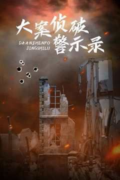 大案侦破警示录