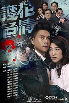 护花危情粤语版