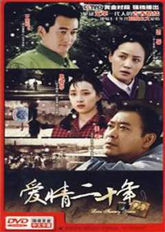 爱情二十年