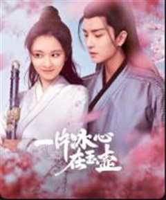 一片冰心在玉壶