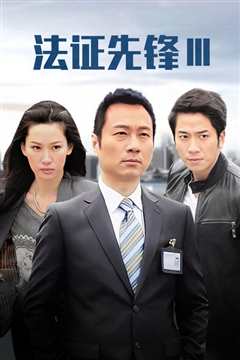 法证先锋3粤语版