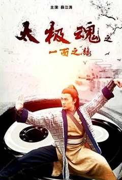 太极魂之一面之缘
