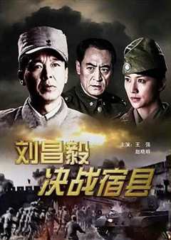 刘昌毅决战宿县