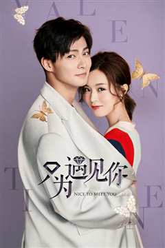 只为遇见你DVD版