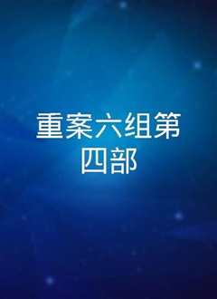 重案六组 第5部