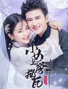 小女上房揭瓦第二季