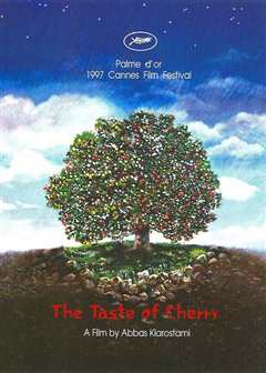 樱桃的滋味