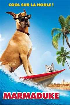 大丹麦狗马默杜克