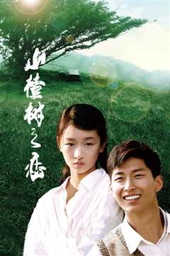 山楂树之恋