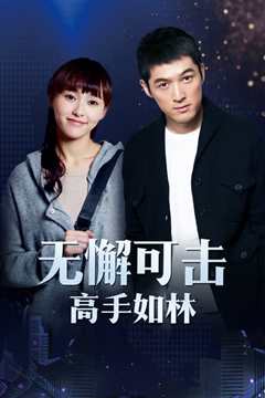 无懈可击之高手如林