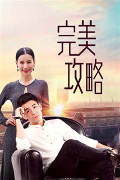 完美攻略