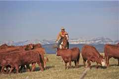 心灵之地 第四季