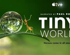 小小世界第一季