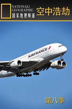 空中浩劫第八季