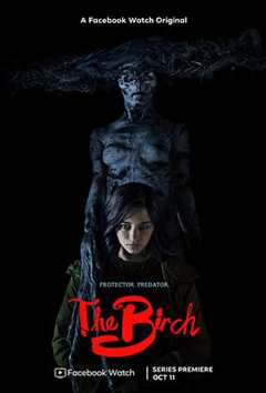 白桦林的女巫第一季