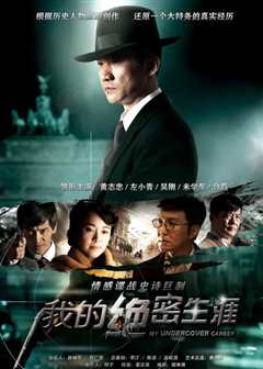 我的绝密生涯