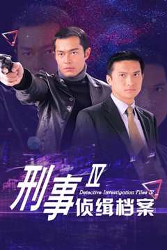刑事侦缉档案4国语