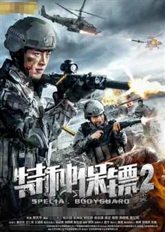 特种保镖2