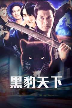 黑豹天下