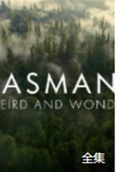 野性塔斯曼尼亚