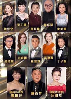 《万千星辉贺台庆》