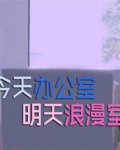 今天办公室明天浪漫室