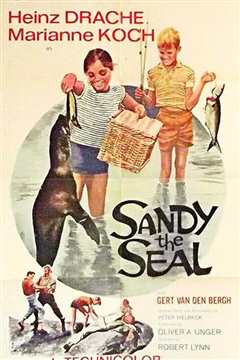 Sandy the Series
