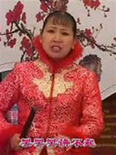 河南坠子 郭永章