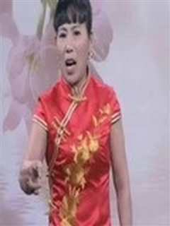 河南坠子《刘公传奇3》胡银花