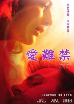 《爱难禁 Crazy In Love》